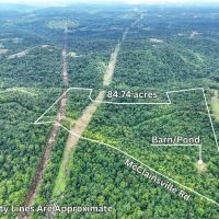 McClainsville Rd - 84 Acres - Belmont County