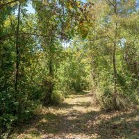 McClainsville Rd - 84 Acres - Belmont County images 3