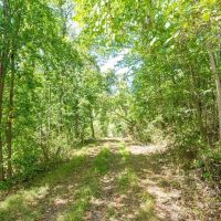 McClainsville Rd - 84 Acres - Belmont County images 5