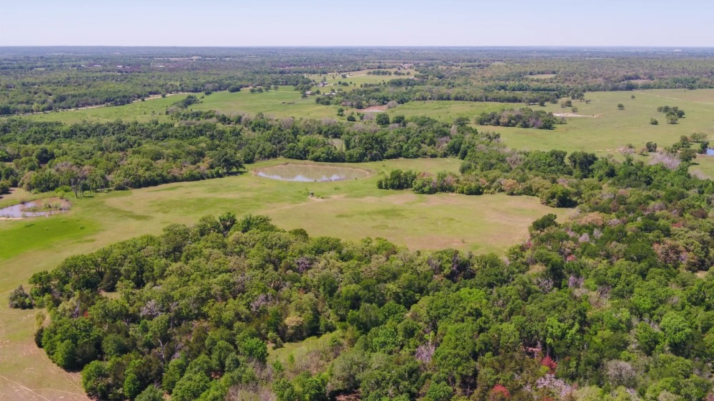113 Acres in Milam County featured image