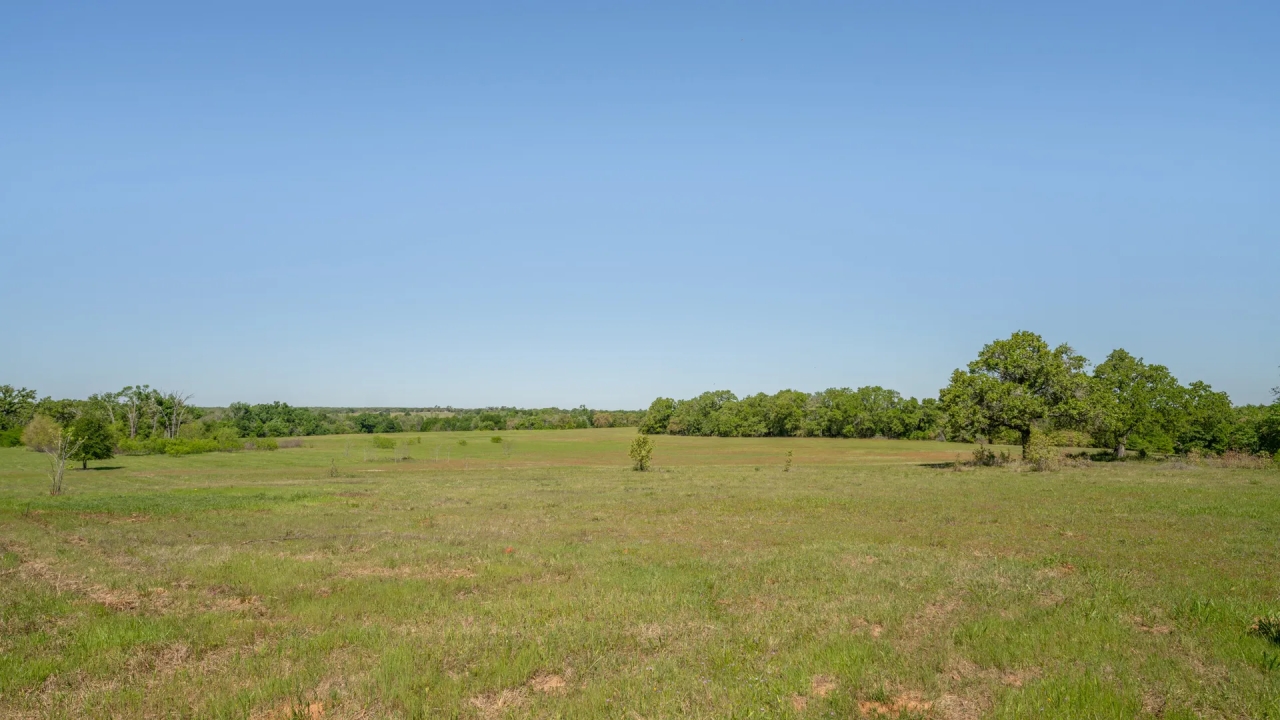 113 Acres in Milam County Hunting Land for Sale