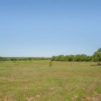 113 Acres in Milam County images 2