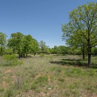 113 Acres in Milam County images 5