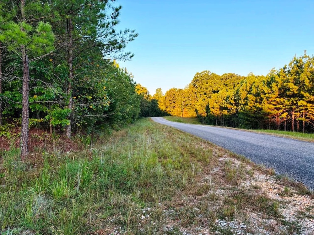 Freedom Hills Tract featured image