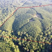 Freedom Hills Tract images 2