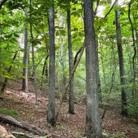 Freedom Hills Tract images 3
