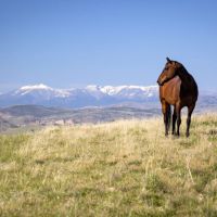 MR Ranch images 2