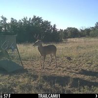 Doyle Ranch images 3