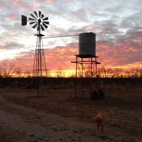Doyle Ranch images 5