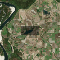 Waterfowl & turkey 661 acres hunting land Charlie Capps WMA in Bolivar, MS