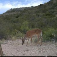 High Lonesome Ranch Subdivision Crockett County Ozona Texas images 3