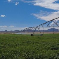 L Cross Ranch images 3