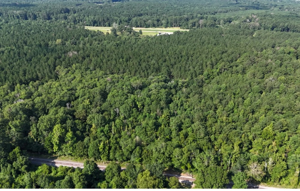 68 Acres in Covington County in Mt. Olive MS featured image