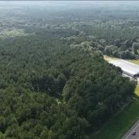68 Acres in Covington County in Mt. Olive MS images 5