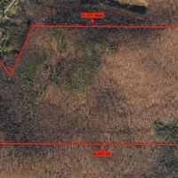 183 acres Hunting Land and Recreational Land with Timber in Cuba NY Wolf Creek Rd images 2