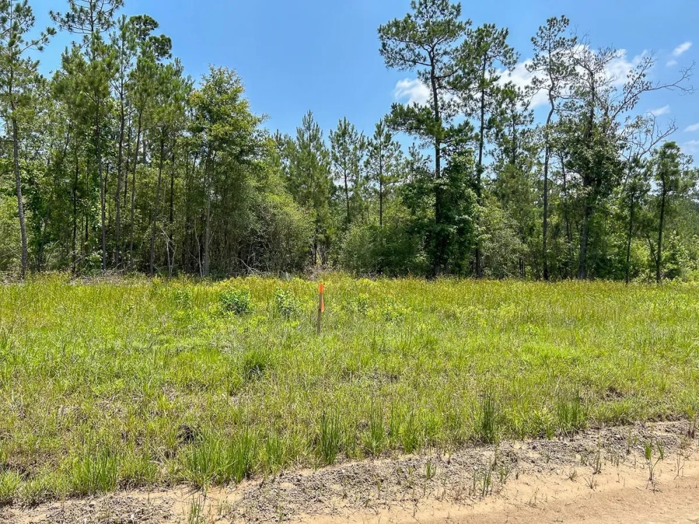 30 Acres Grimes Cemetery Road featured image