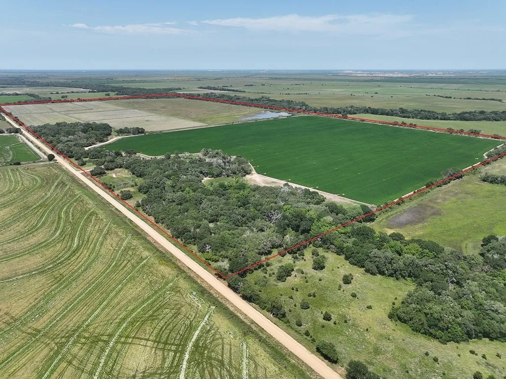 240 acres Garwood TX Colorado County Hunting Land for Sale