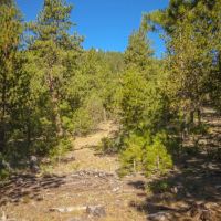 Turner Creek Hideaway images 4