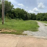Quick Draw 175 Rapides Parish 175 Acres - images 3