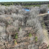 Pine Plantation Duck Hunting Land for sale images 1