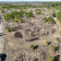 Pine Plantation Duck Hunting Land for sale images 2