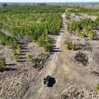 Pine Plantation Duck Hunting Land for sale images 3