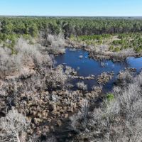 Pine Plantation Duck Hunting Land for sale images 5
