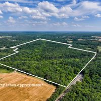 Approximately 133 acres of rolling hills and wooded bliss in Dix IL