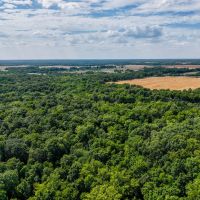 Approximately 133 acres of rolling hills and wooded bliss in Dix IL images 4