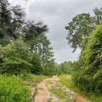 53 Acres T-1 Private Road 01253