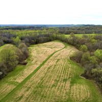 415 Pin Oak Lane Cypress IL 62923 images 4