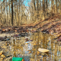 835 acres Deer & Turkey hunting land Eagles Nest WMA in New Castle, DE images 1
