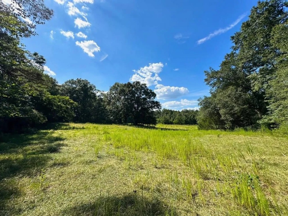 10.5 - Acres For Sale Pike County featured image