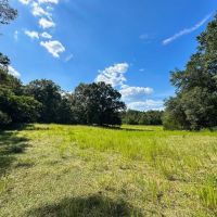 10.5 - Acres For Sale Pike County