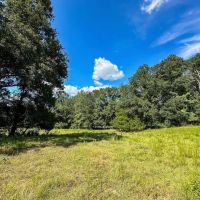 10.5 - Acres For Sale Pike County images 2