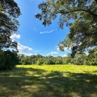 10.5 - Acres For Sale Pike County images 3