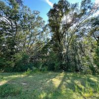 10.5 - Acres For Sale Pike County images 4