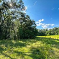10.5 - Acres For Sale Pike County images 5