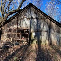 31 Acres with Cabin - Great Hunting Property images 5
