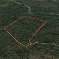 57 acre Hunting Land Next to State Land Diana NY images 4