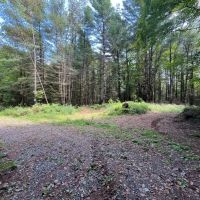 57 acre Hunting Land Next to State Land Diana NY images 5