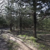 Deep Branch Creek 735
