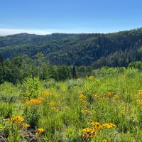 Skyline Ridge Ranch images 4