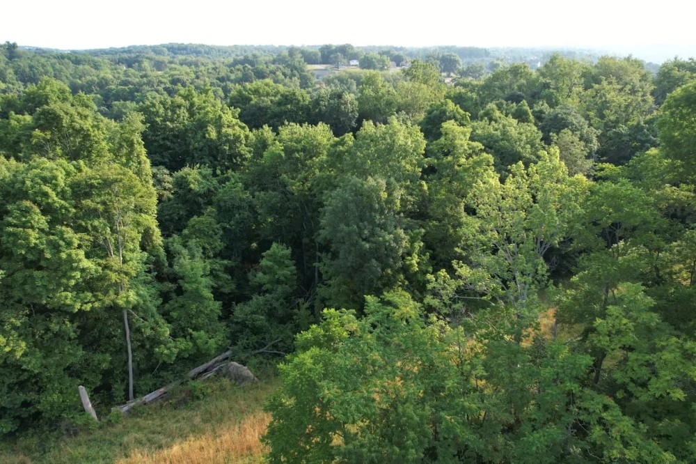 Lawrence s 11 acres featured image