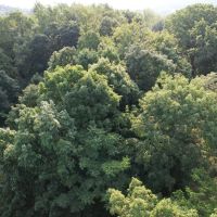 Lawrence s 11 acres images 4