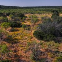 The Home Place images 5