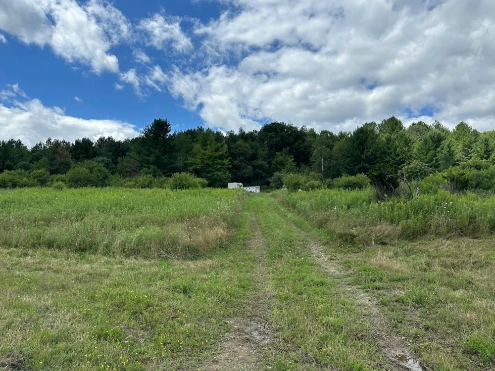 13 acres Hunting Land with Camper in Scio NY 3259 Knights Creek Rd featured image
