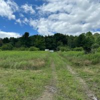 13 acres Hunting Land with Camper in Scio NY 3259 Knights Creek Rd