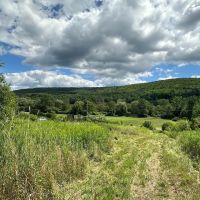 13 acres Hunting Land with Camper in Scio NY 3259 Knights Creek Rd images 2