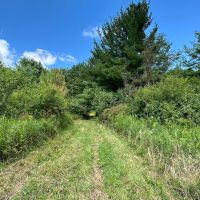 13 acres Hunting Land with Camper in Scio NY 3259 Knights Creek Rd images 3